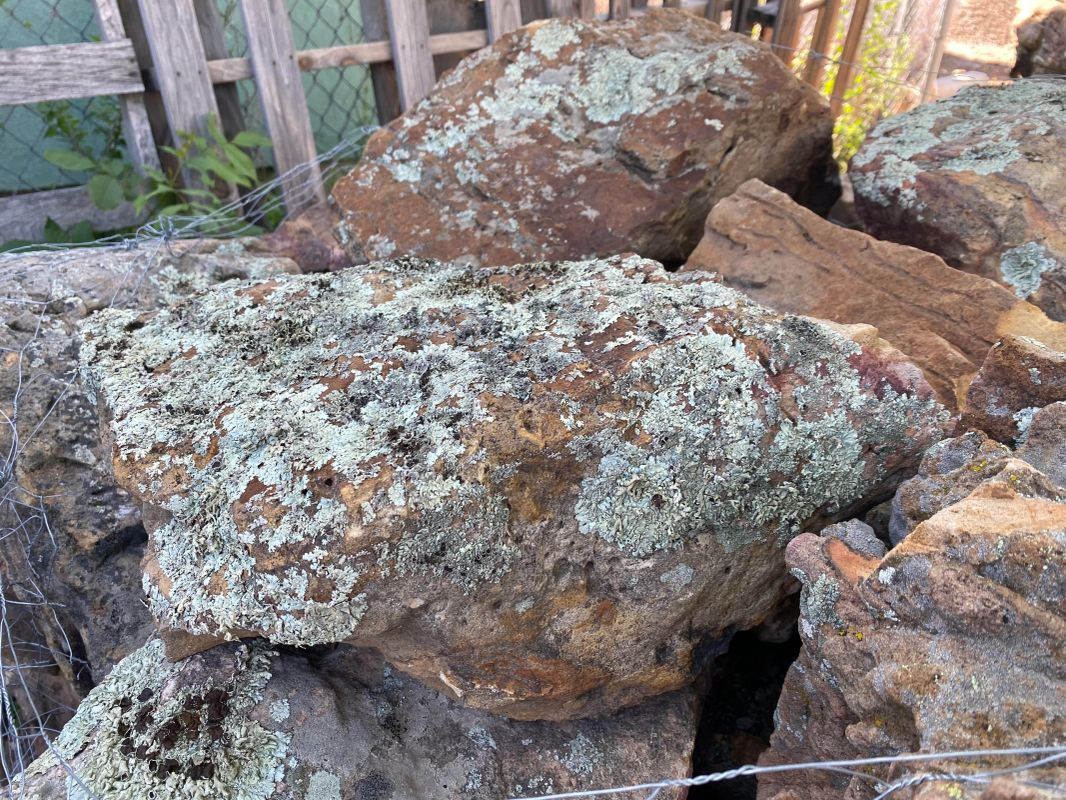 Moss Rock